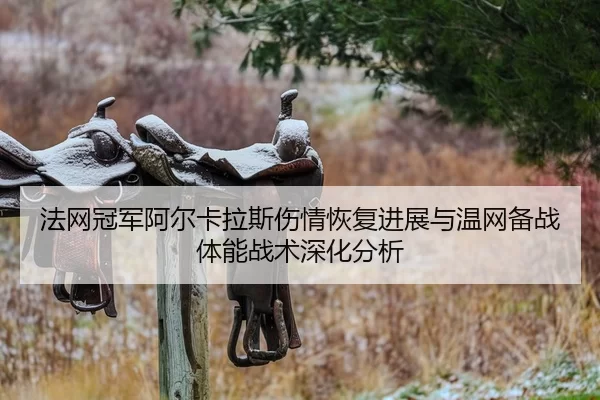 法网冠军阿尔卡拉斯伤情恢复进展与温网备战体能战术深化分析