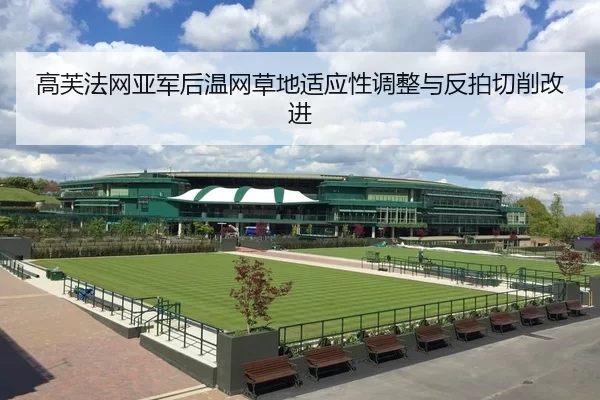 高芙法网亚军后温网草地适应性调整与反拍切削改进